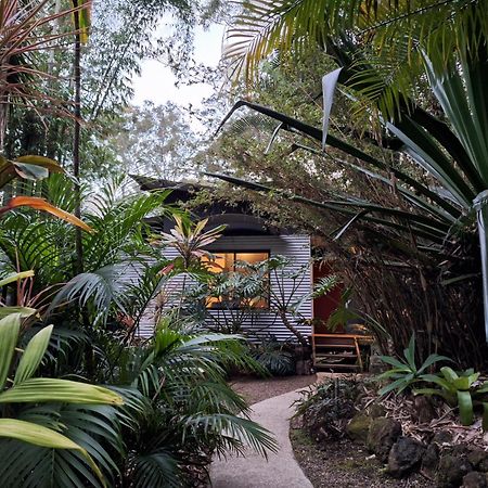 Alaya Escape Bed & Breakfast Eudlo Exterior photo