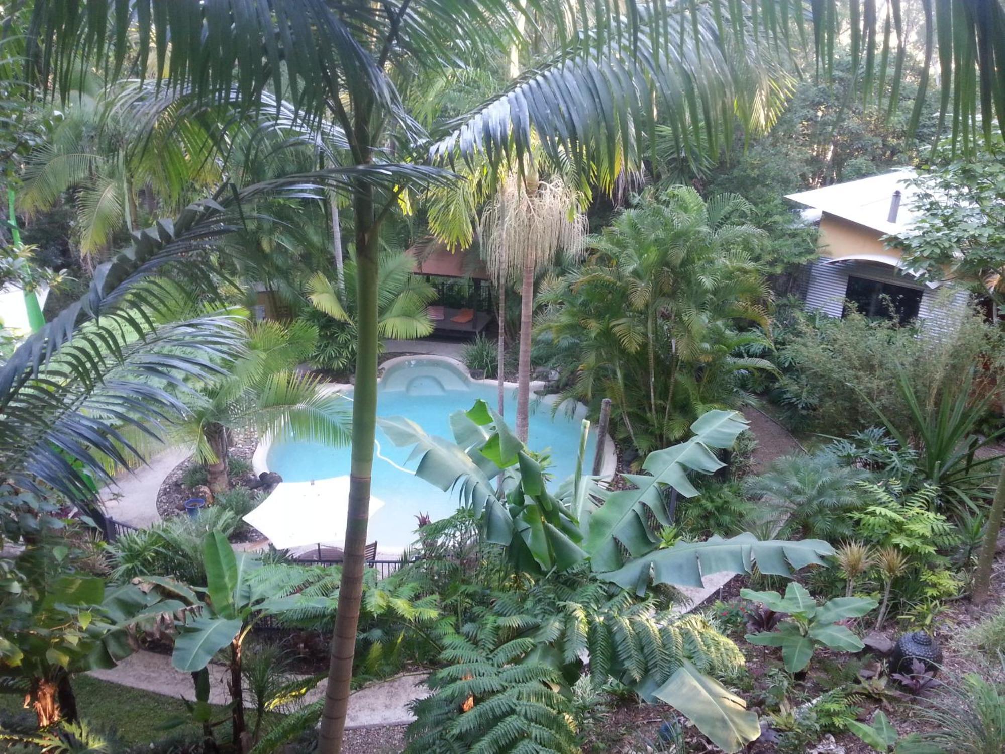 Alaya Escape Bed & Breakfast Eudlo Room photo