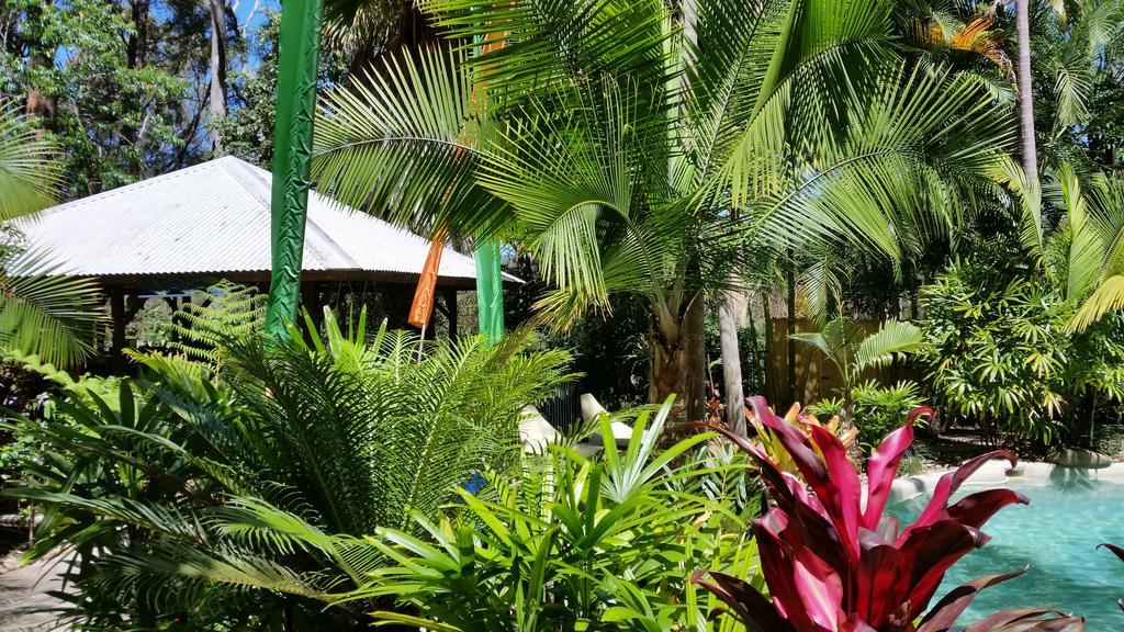 Alaya Escape Bed & Breakfast Eudlo Exterior photo